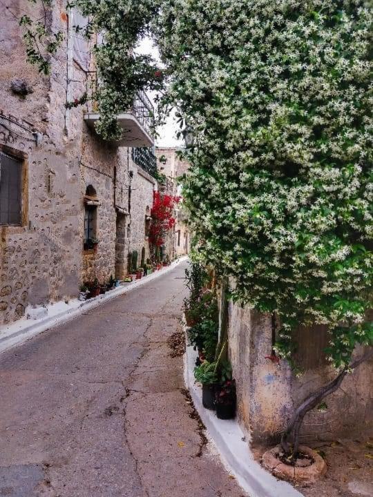 Chios Mantalenas Apartments Vessa Экстерьер фото